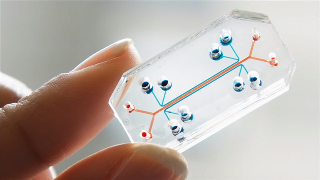 Biochips para análisis instantáneo de sangre: Diagnóstico rápido al alcance de un chip