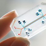 Biochips para análisis instantáneo de sangre: Diagnóstico rápido al alcance de un chip