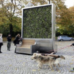 Introducción a los sensores inteligentes en árboles urbanos